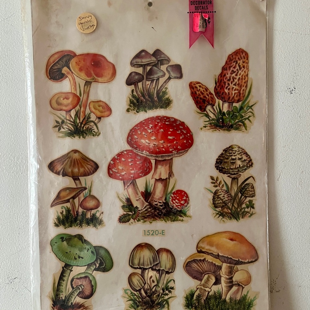 1970s Vintage Mushroom Decorator Decals